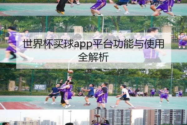 世界杯买球app平台功能与使用全解析
