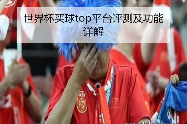 世界杯买球top平台评测及功能详解