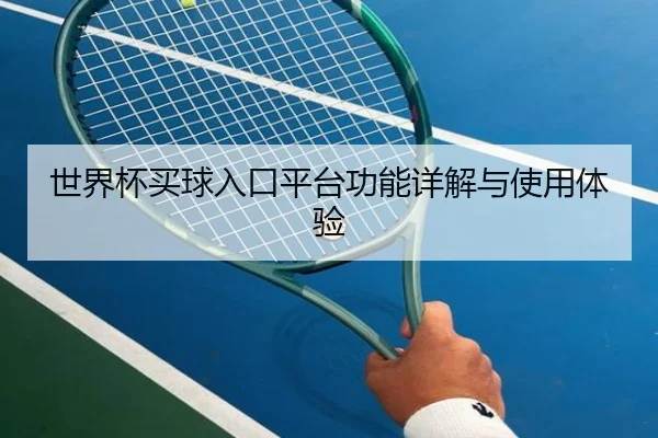 世界杯买球入口平台功能详解与使用体验