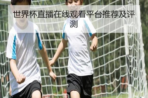 世界杯直播在线观看平台推荐及评测