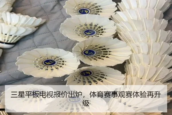 三星平板电视报价出炉，体育赛事观赛体验再升级